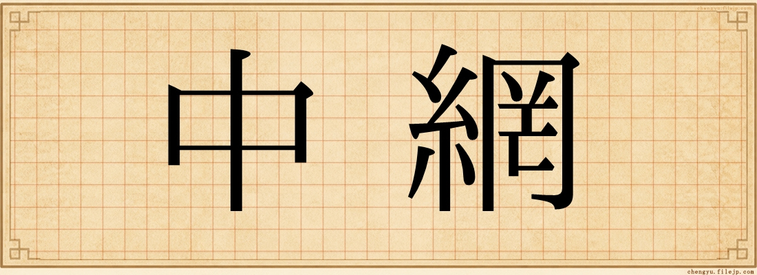 中網