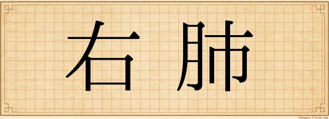 右肺