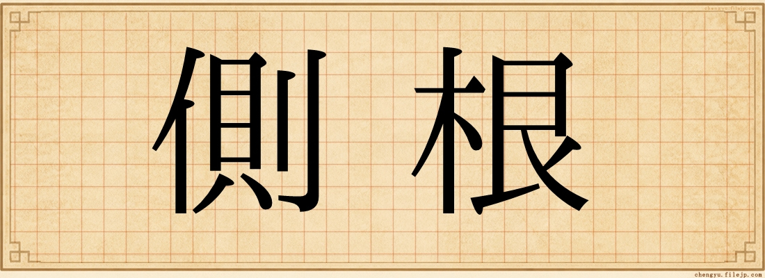 側根