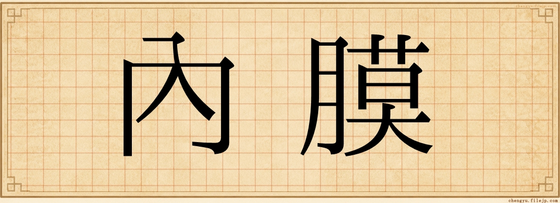 內膜