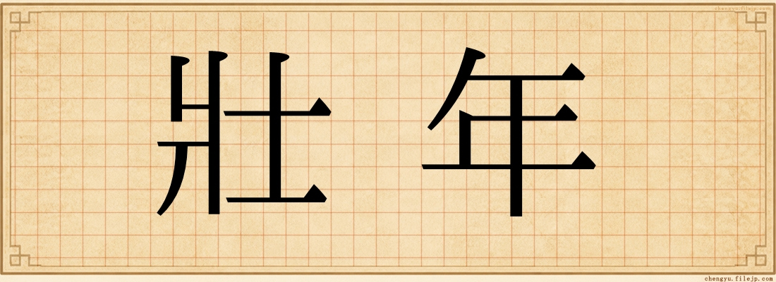 壯年