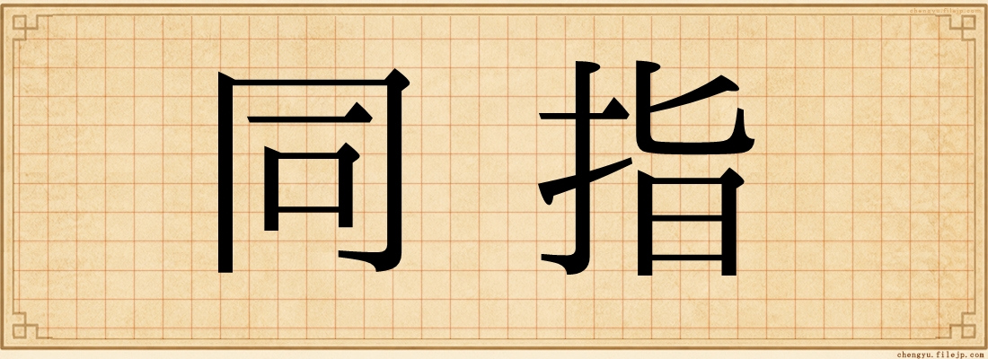 同指