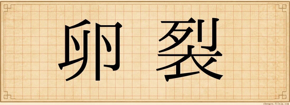 卵裂