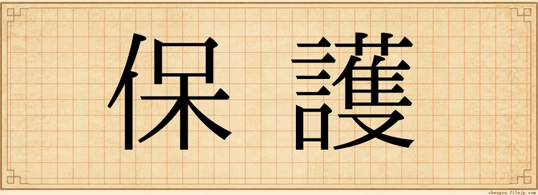 保護