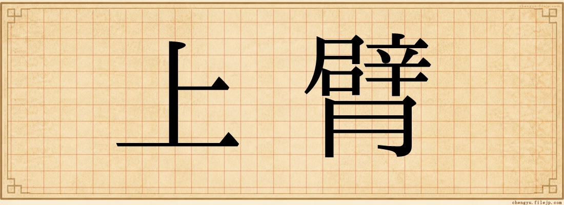 上臂