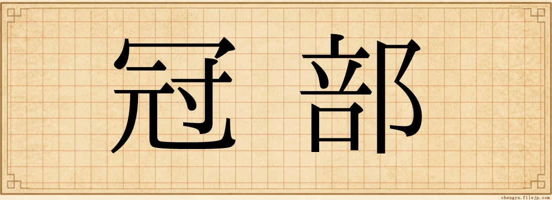 冠部