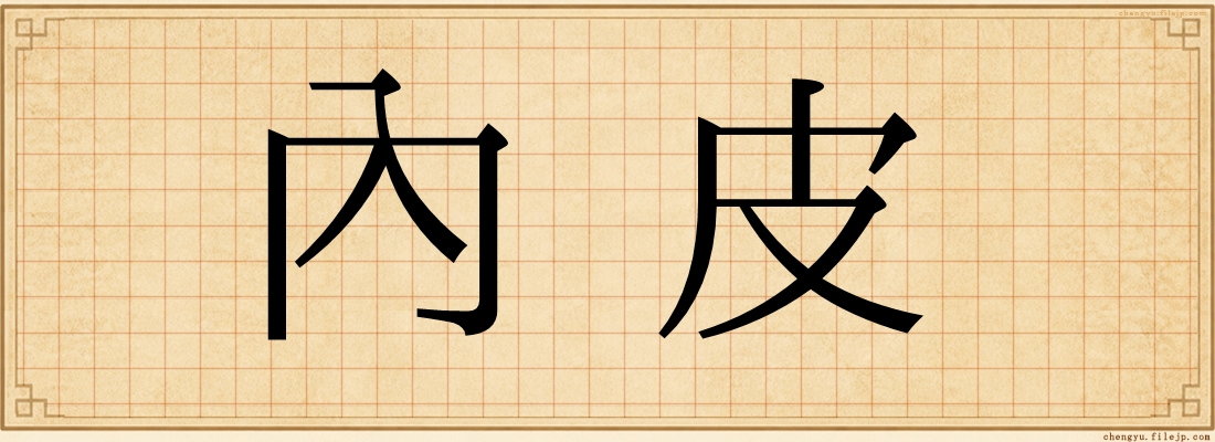 內皮