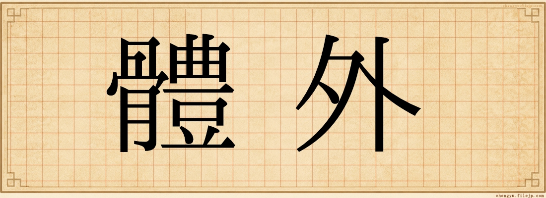 體外