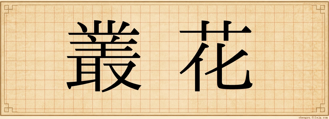 叢花