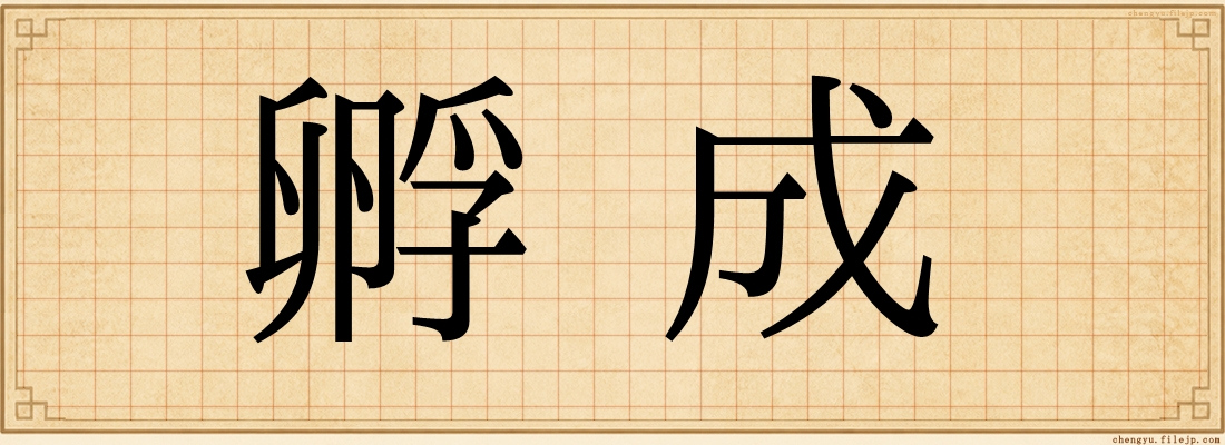 孵成