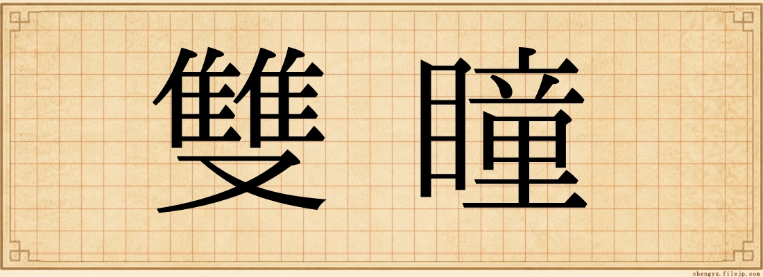 雙瞳