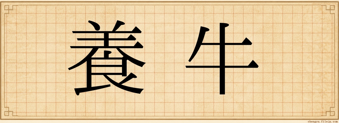 養牛