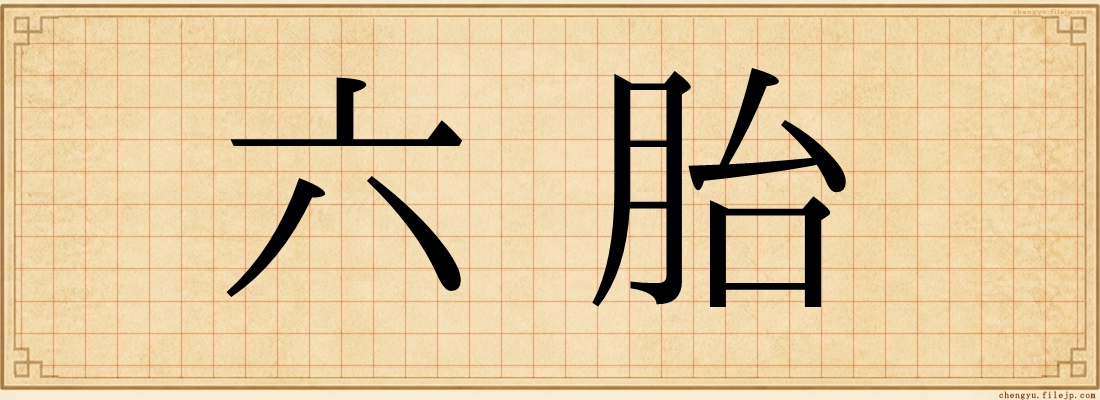 六胎