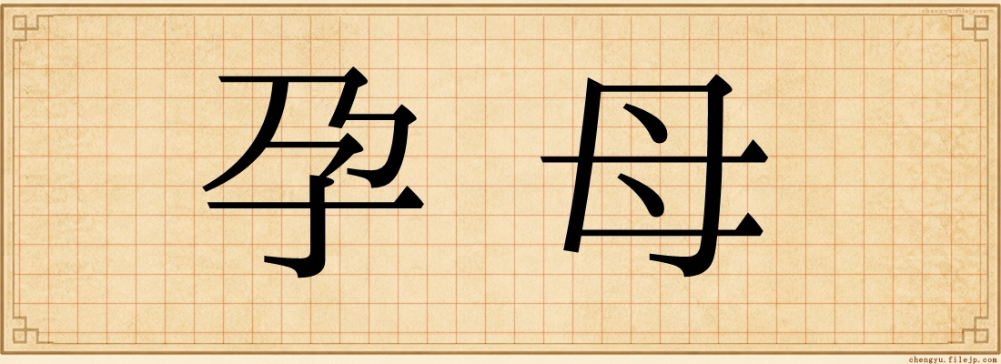孕母