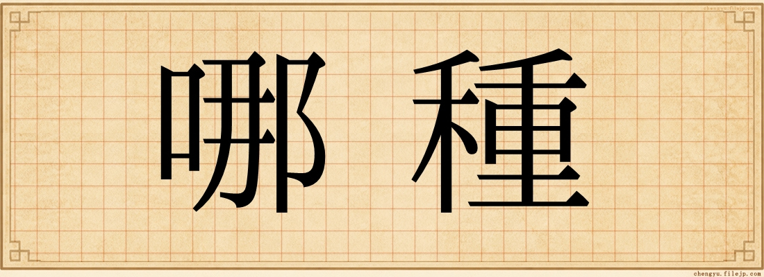 哪種