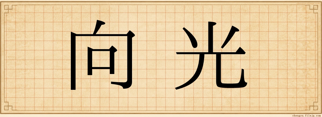向光