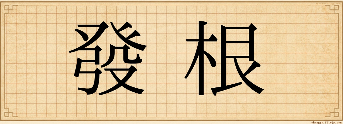 發根