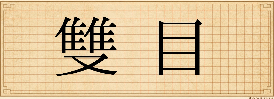 雙目