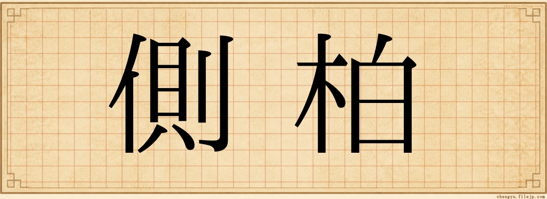 側柏