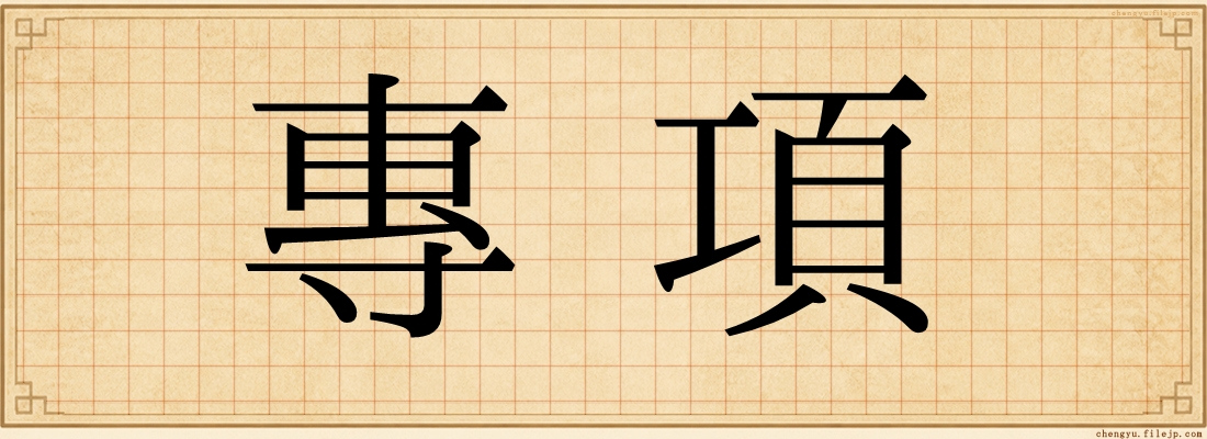 專項