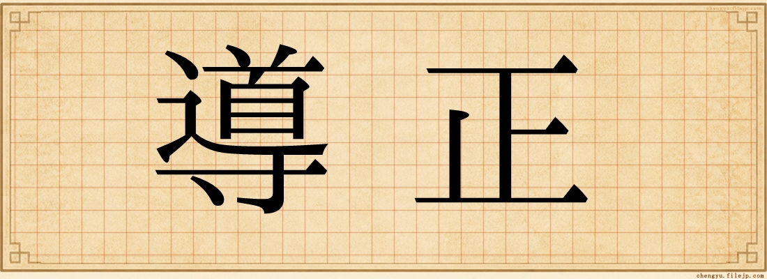導正