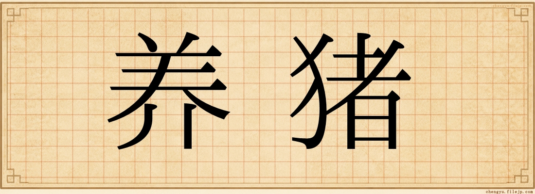 养猪