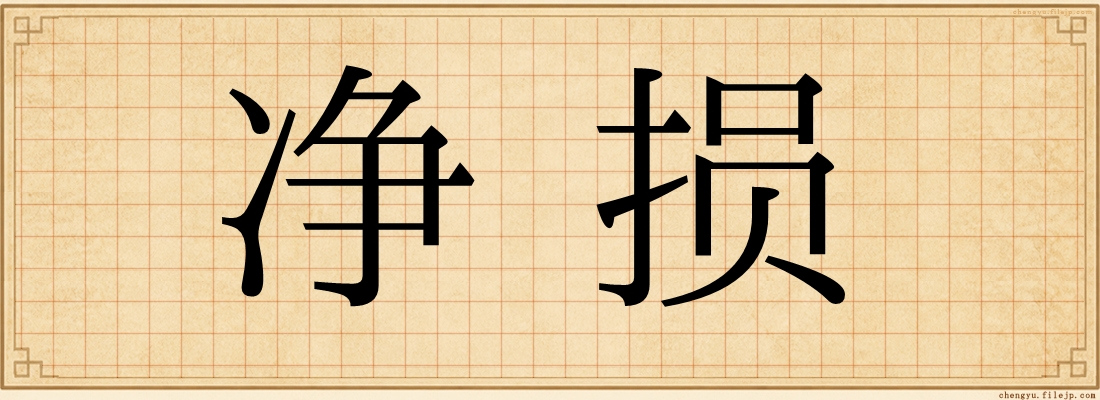 净损