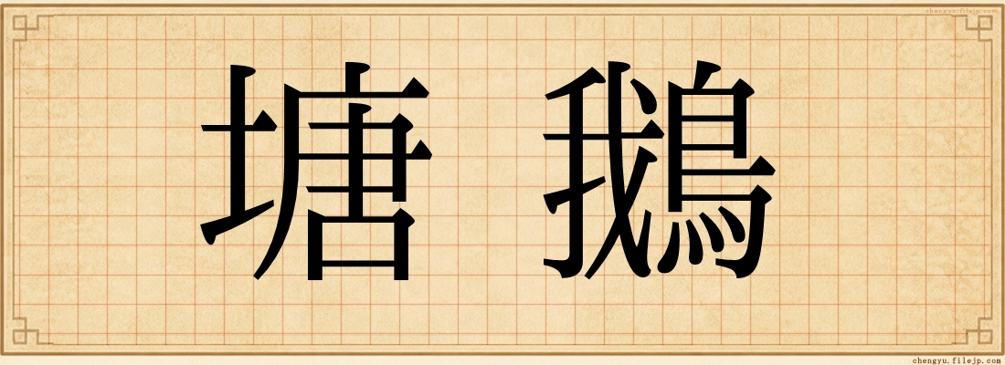 塘鵝