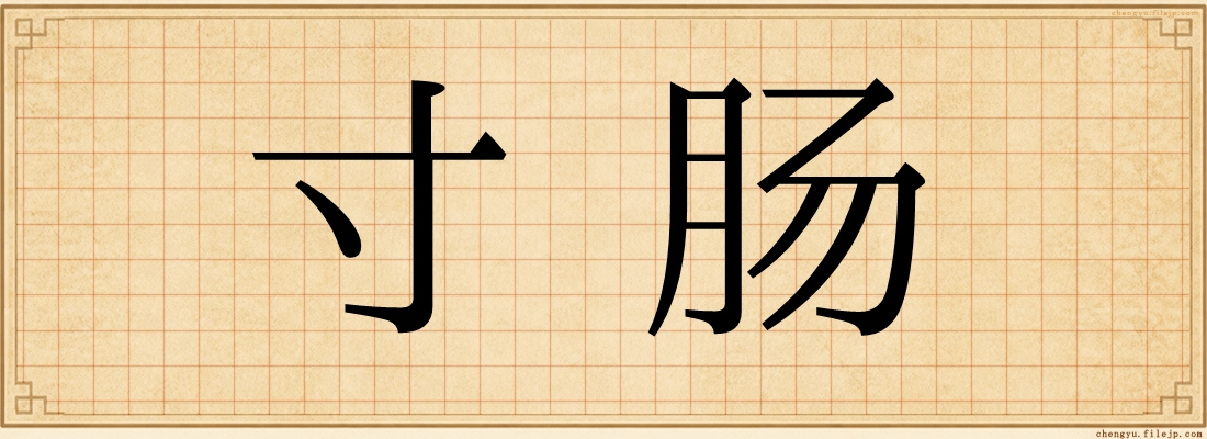 寸肠