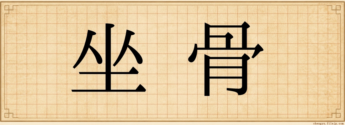 坐骨