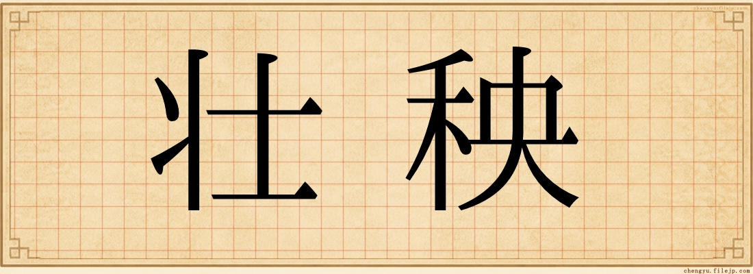 壮秧