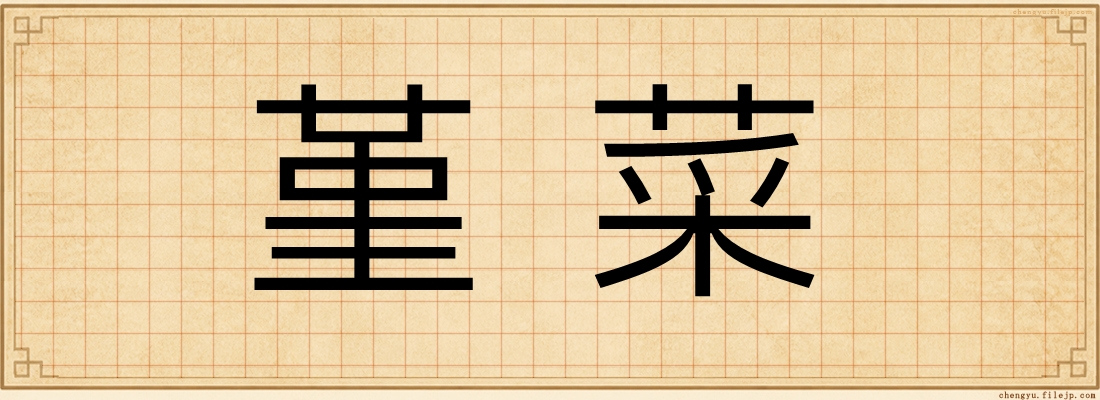 堇菜