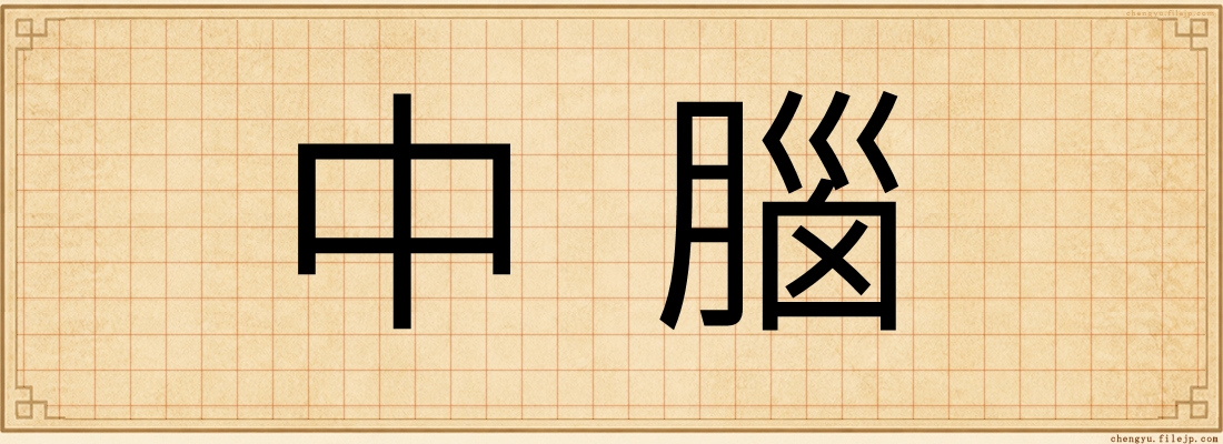 中腦