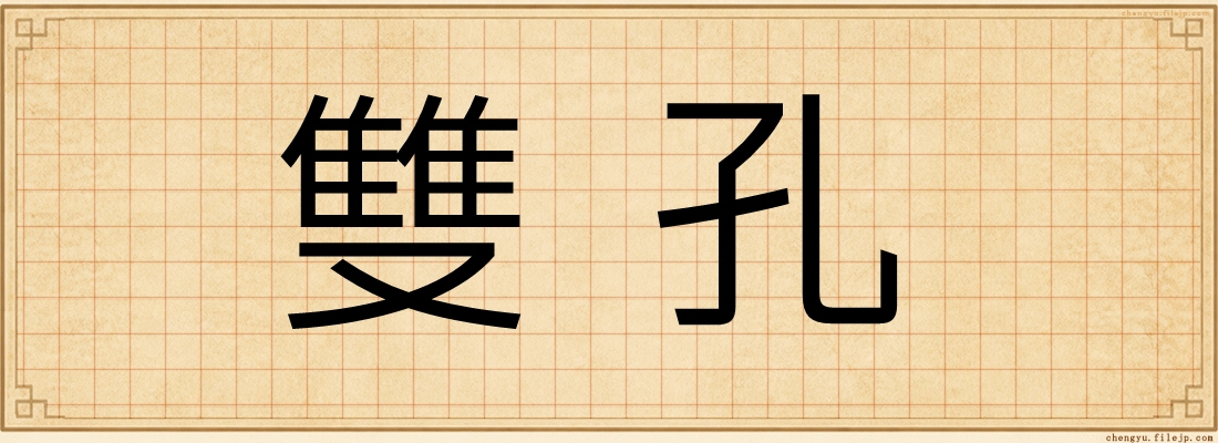 雙孔