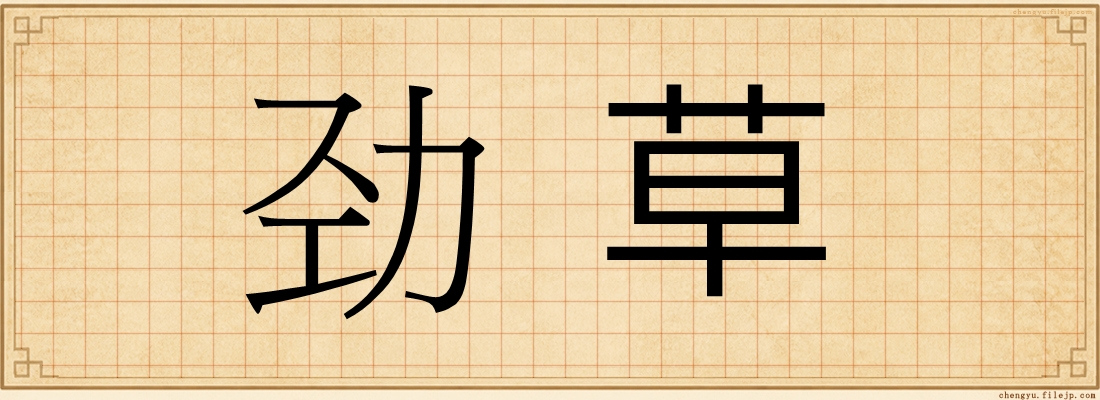 劲草