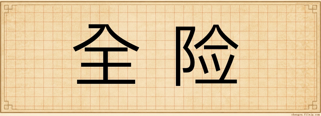 全险
