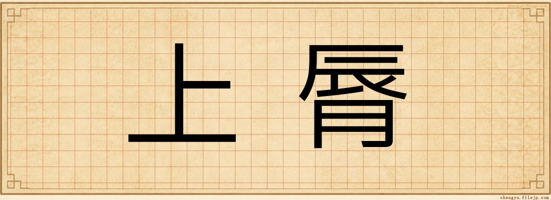上脣