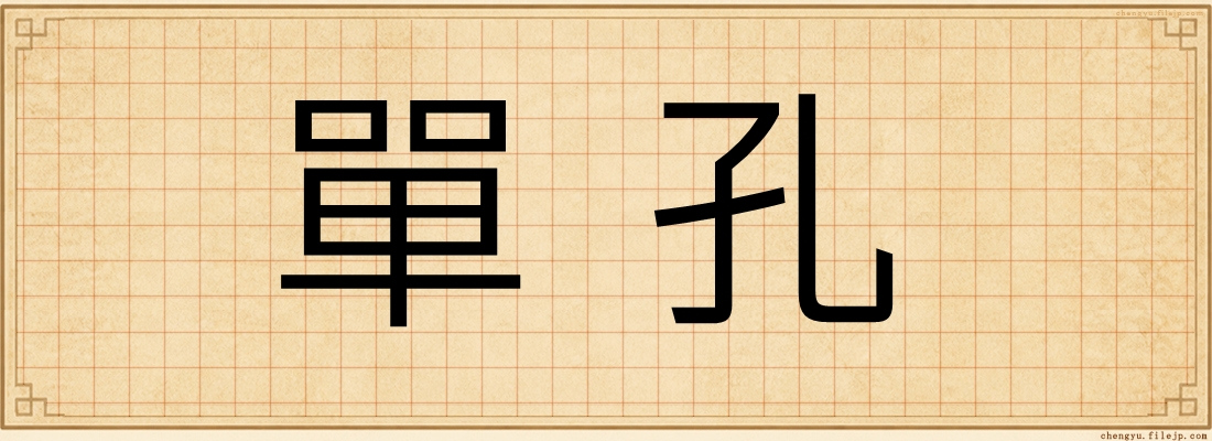 單孔