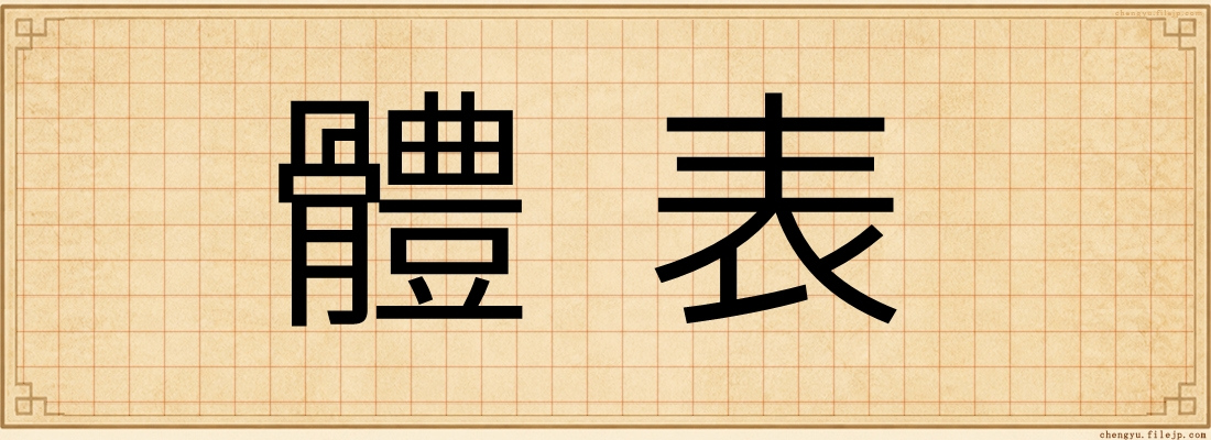 體表