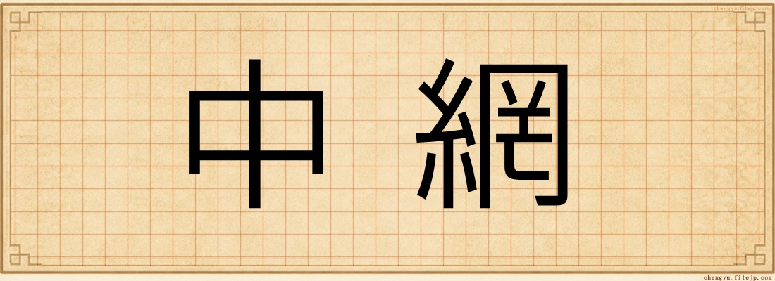 中網
