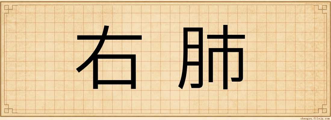 右肺