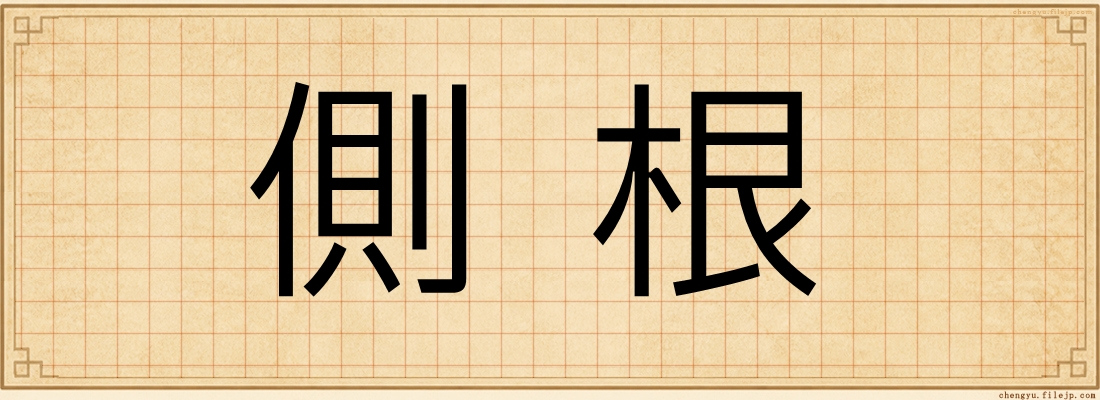 側根