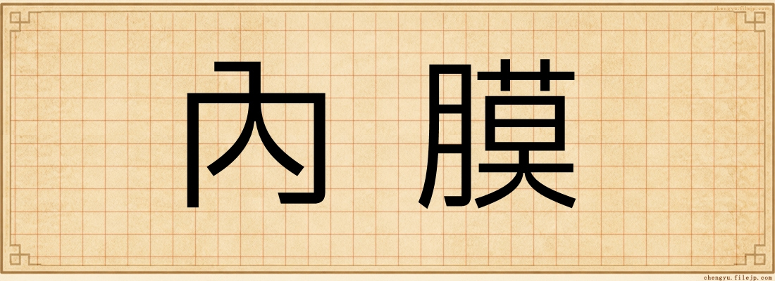 內膜
