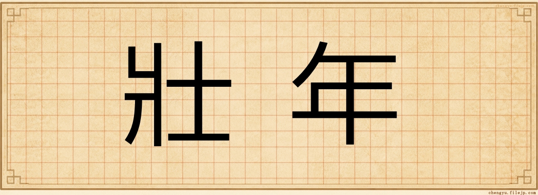 壯年