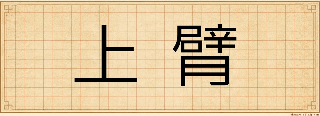 上臂