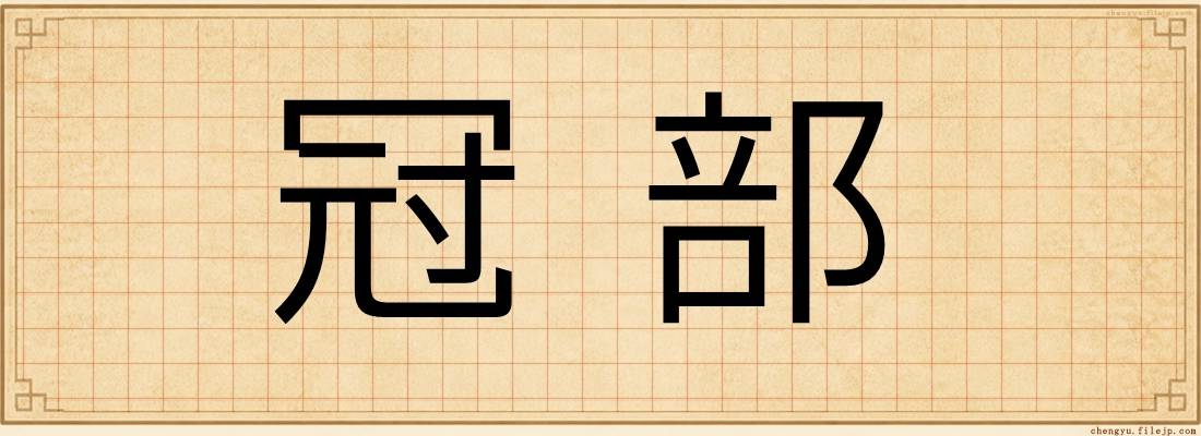 冠部