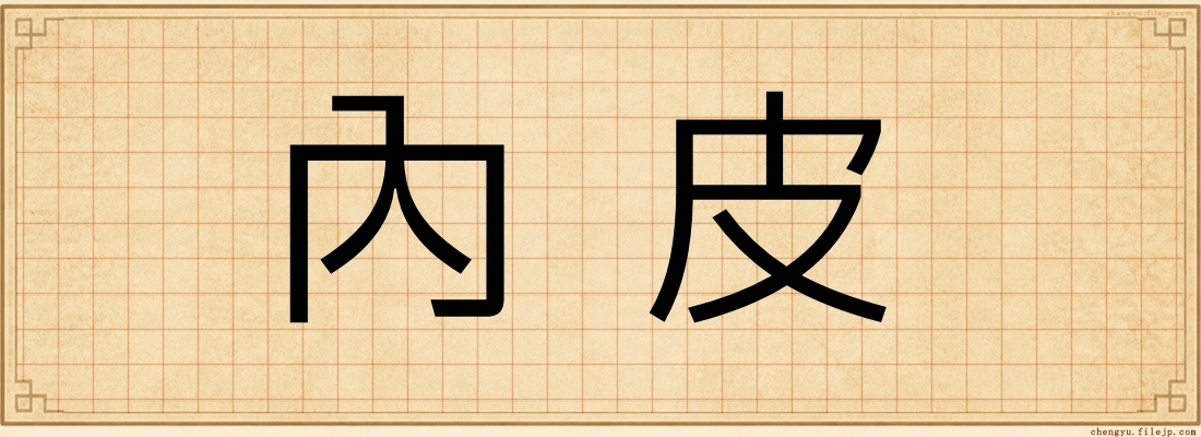 內皮