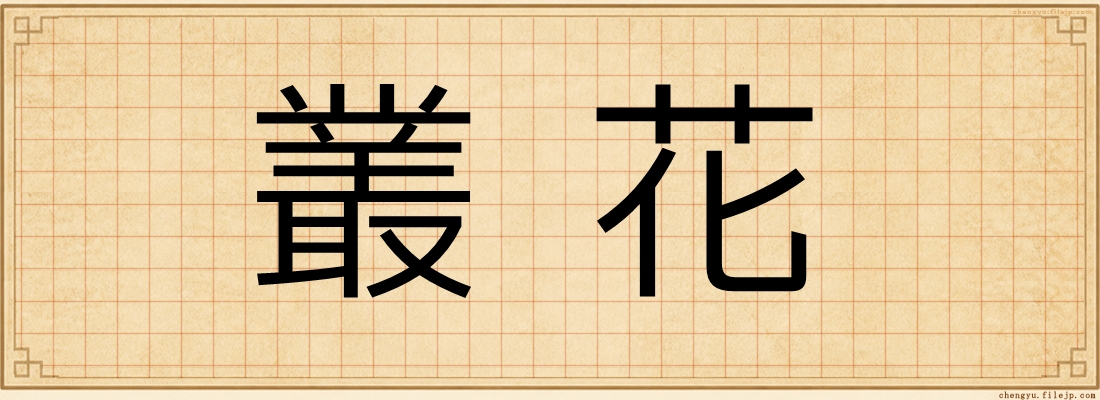 叢花
