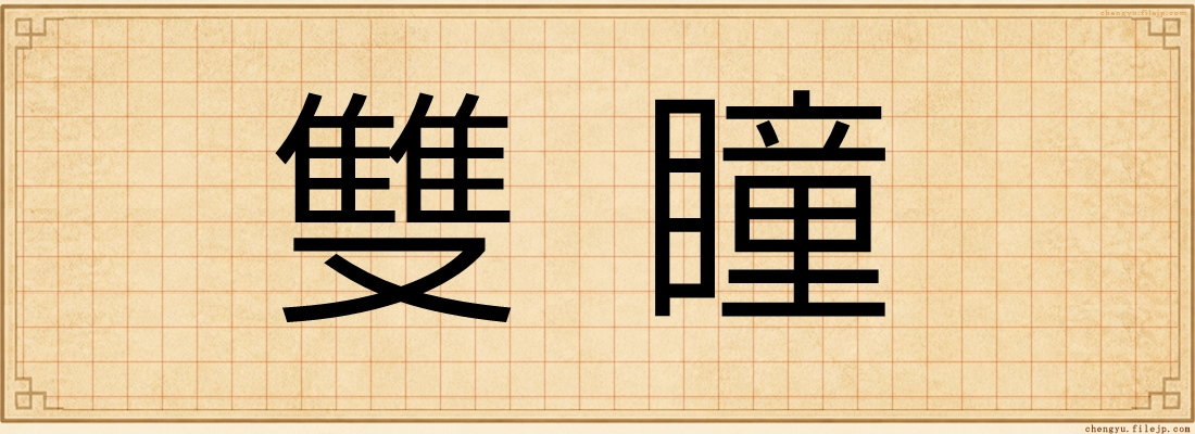 雙瞳