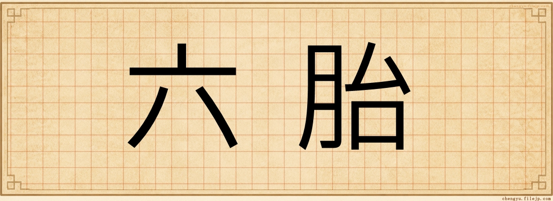 六胎